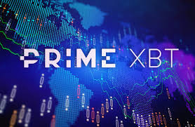 The Future of Investments Exploring PrimeXBT Online Trading